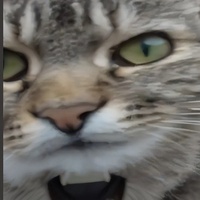 :-{)