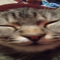 :33