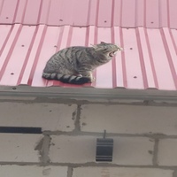 Кричуся!! :OO