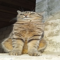 В наряде :/
