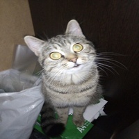 :O